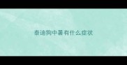 泰迪狗中暑有什么症状