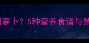 拉布拉多怎么吃胡萝卜5种营养食谱与禁忌养宠必看