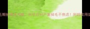 边牧换毛期护理全攻略科学应对严重掉毛不焦虑附超实用防脱妙招