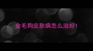金毛狗皮肤病怎么治好