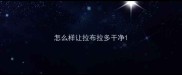 怎么样让拉布拉多干净