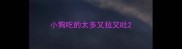小狗吃的太多又拉又吐