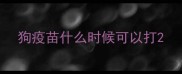 狗疫苗什么时候可以打