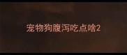 宠物狗腹泻吃点啥