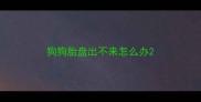 狗狗胎盘出不来怎么办