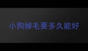 小狗掉毛要多久能好