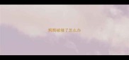 狗狗被撞了怎么办