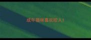 成年猫咪喜欢咬人