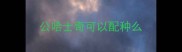 公哈士奇可以配种么