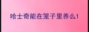 哈士奇能在笼子里养么