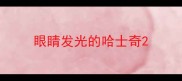 眼睛发光的哈士奇