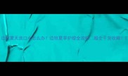 边牧夏天流口水怎么办边牧夏季护理全攻略超全干货收藏