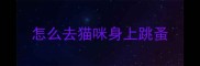 怎么去猫咪身上跳蚤
