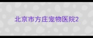 北京市方庄宠物医院