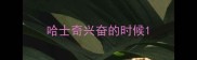 哈士奇兴奋的时候