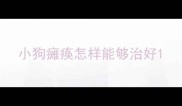 小狗瘫痪怎样能够治好