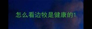 怎么看边牧是健康的