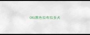 CKU黑色拉布拉多犬