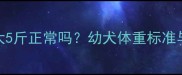 边境牧羊犬50天大5斤正常吗幼犬体重标准与科学养护全指南