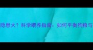 狗狗长期吃狗粮健康隐患大科学喂养指南如何平衡狗粮与天然食物的黄金配比