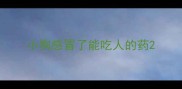小狗感冒了能吃人的药