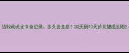 边牧幼犬发育全记录多久会走路30天到90天的关键成长期