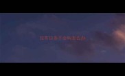 拉布拉多不会叫怎么办