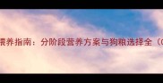 幼犬科学喂养指南分阶段营养方案与狗粮选择全0-12月龄
